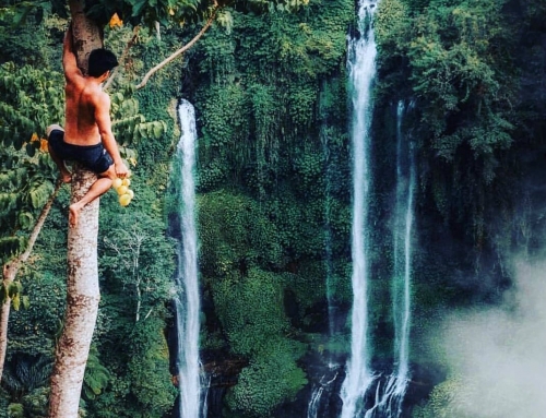 Infinity Sekumpul Waterfall, Bali Island