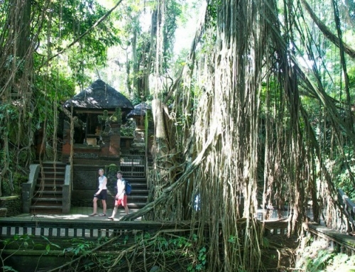 10 Places to Visit in Ubud with Interesting Activities and Sceneries