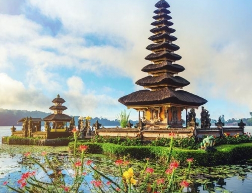 Bali Travel Guide for First Timers to Survive