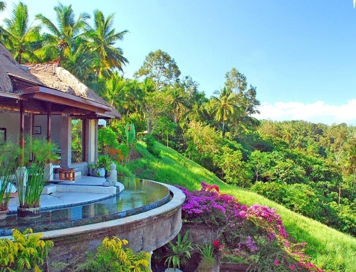 Best Restaurants in Bali Must Visit by All Travelers