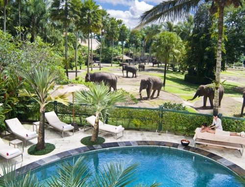 On Budget Luxury Spas in Bali Recommendations