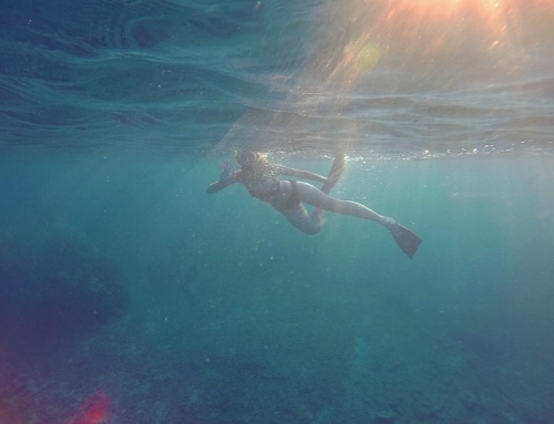 Bali Snorkeling Tour At Blue Lagoon